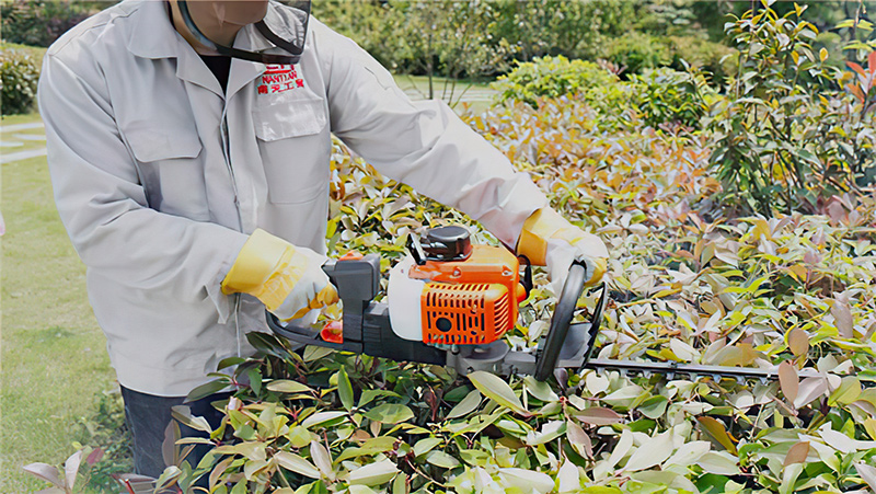 Yongkang Nantian industry and trade chainsaw carburetor application case Yongkang Nantian industry and trade chainsaw carburetor application case