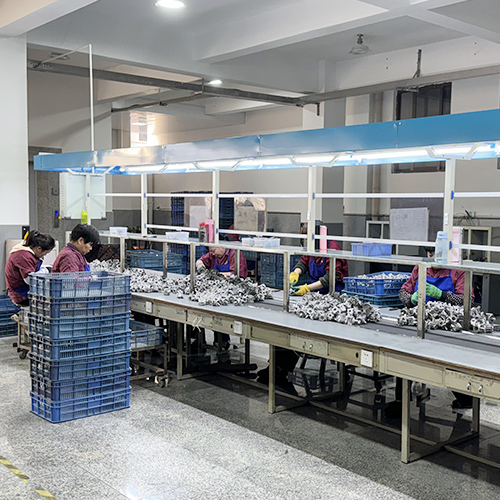 Cleaning plant Cleaning plant