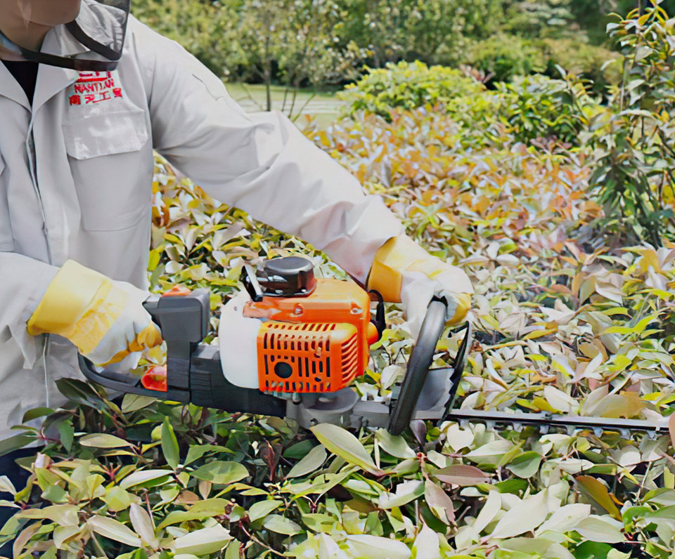 Yongkang Nantian industry and trade chainsaw carburetor application case
